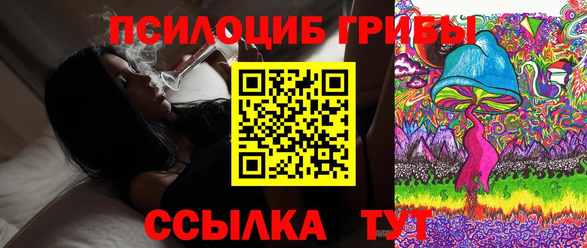 Псилоцибиновые грибы Psilocybine cubensis  Вход с VPN  Курганинск 